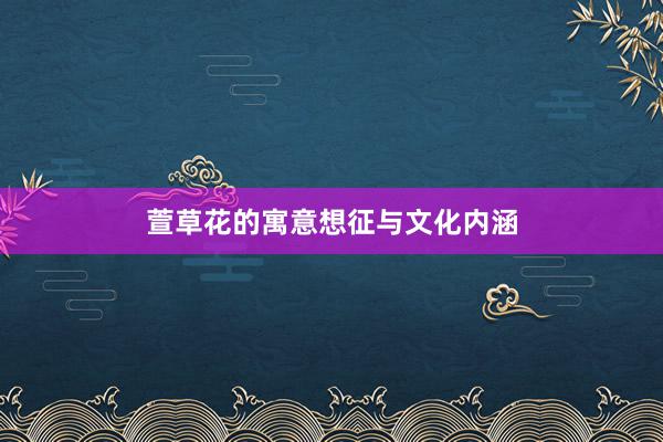 萱草花的寓意想征与文化内涵
